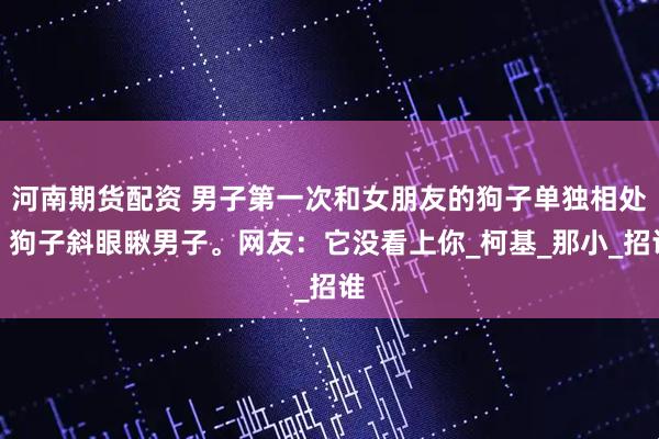 河南期货配资 男子第一次和女朋友的狗子单独相处，狗子斜眼瞅男子。网友：它没看上你_柯基_那小_招谁