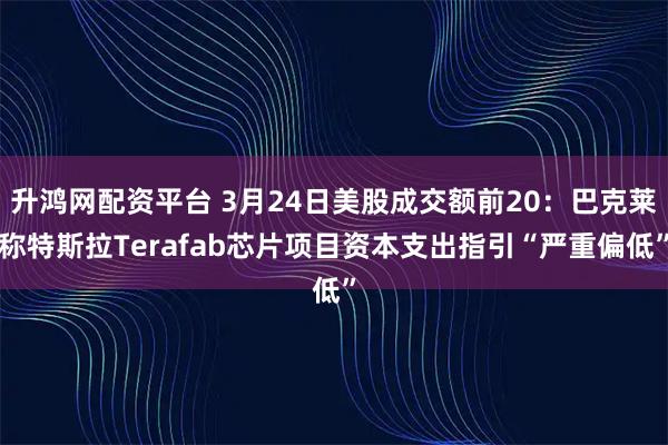 升鸿网配资平台 3月24日美股成交额前20：巴克莱称特斯拉Terafab芯片项目资本支出指引“严重偏低”